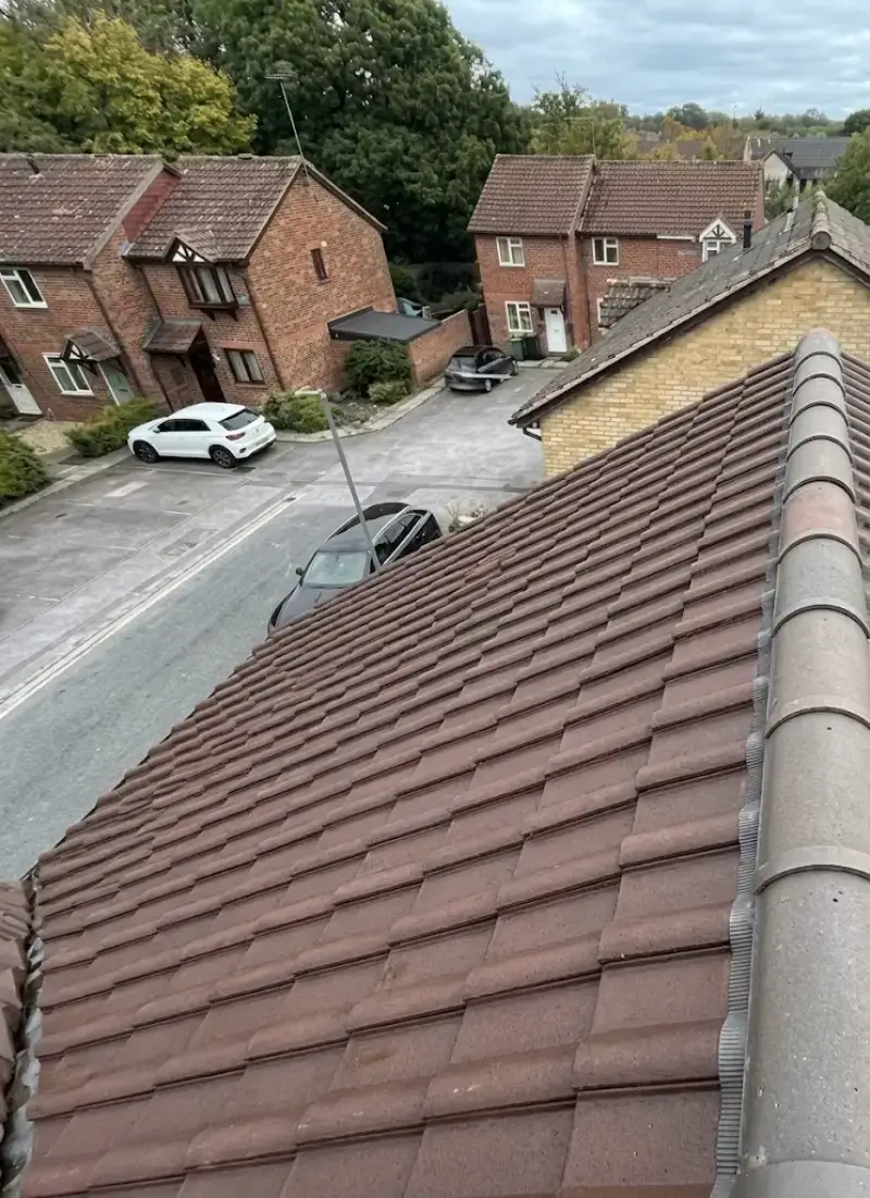 Roof after an algae soft wash treatment near Plant City