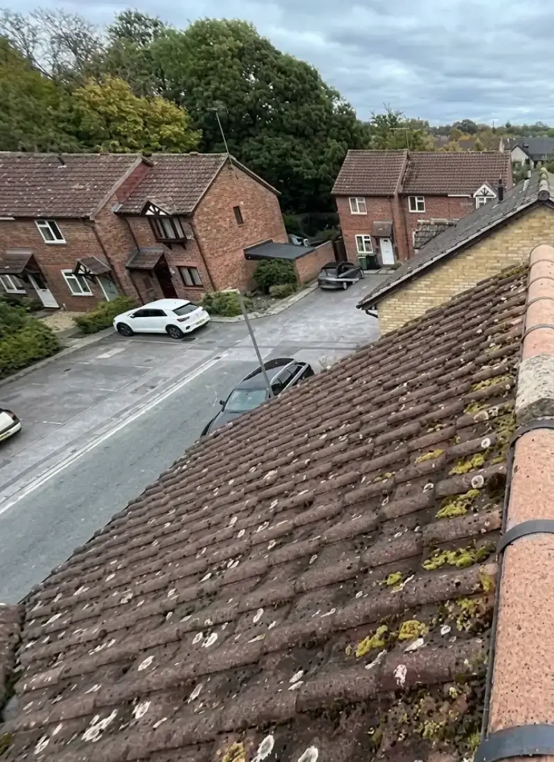 Roof with algae streaking before treatment