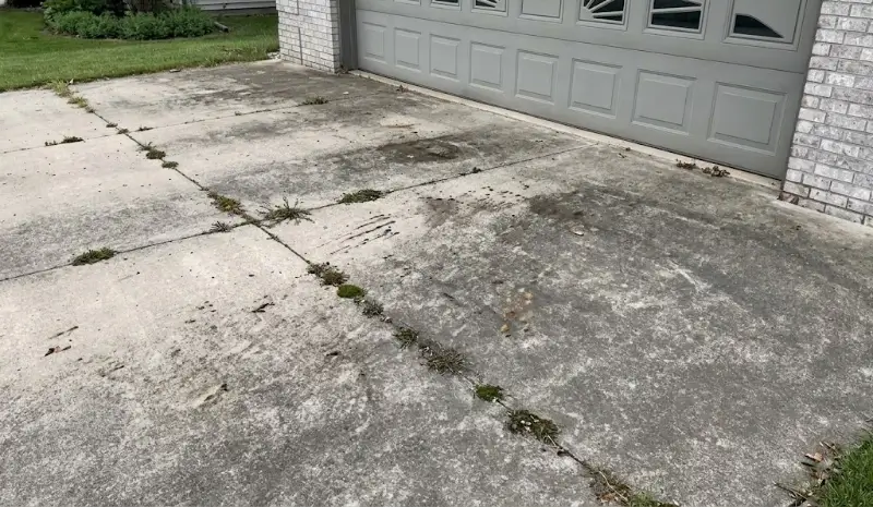 Plant City Driveway Awaiting Professional Cleaning Service Driveway prior to professional pressure washing service