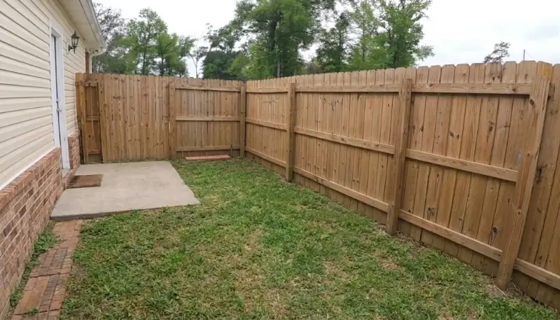 Fence line after a soft wash cleaning near Plant City