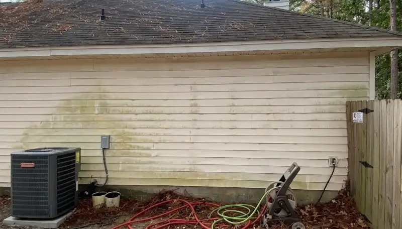 Siding streaked with mildew before a house washing visit