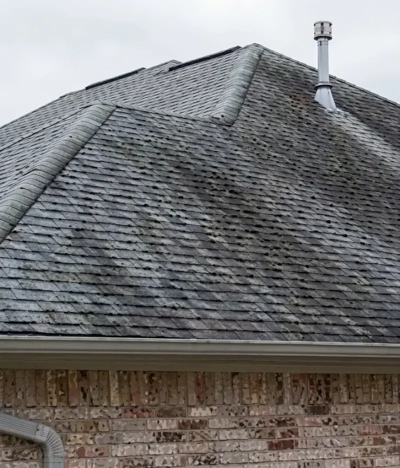 Algae streaked shingle roof before a scheduled cleaning visit