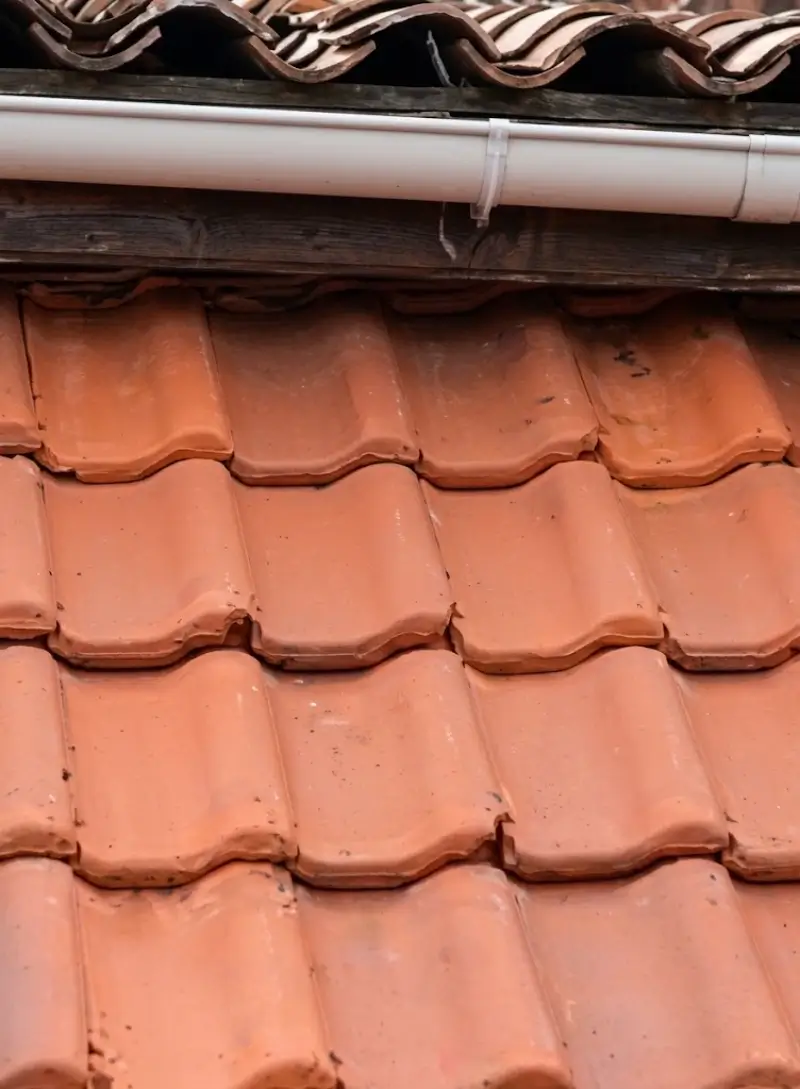 Roof section after a soft wash treatment in Plant City