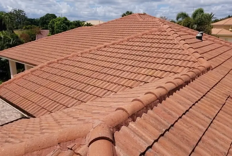 Roof after an algae treatment on a Plant City home
