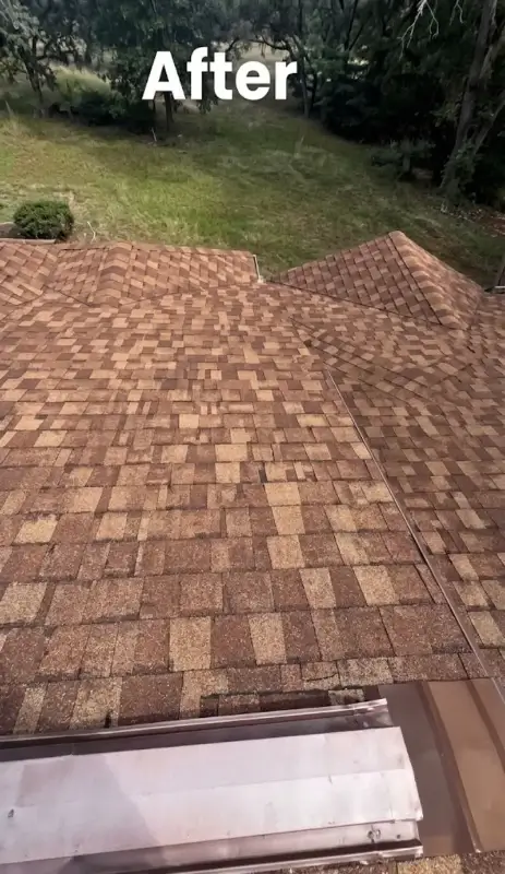 Roof soft washing clears algae without damaging shingles