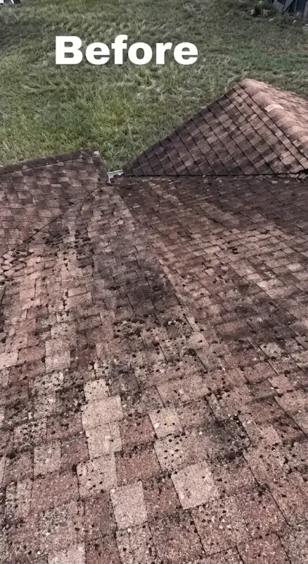 Algae streaked shingle roof before a soft wash treatment